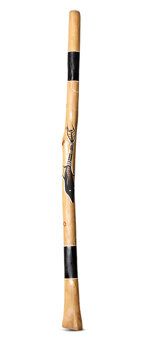 Nathan Falk Didgeridoo (PW334)
